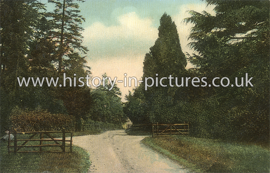 The Avenue, Felix Hall Park, Kelvedon, Essex. c.1907